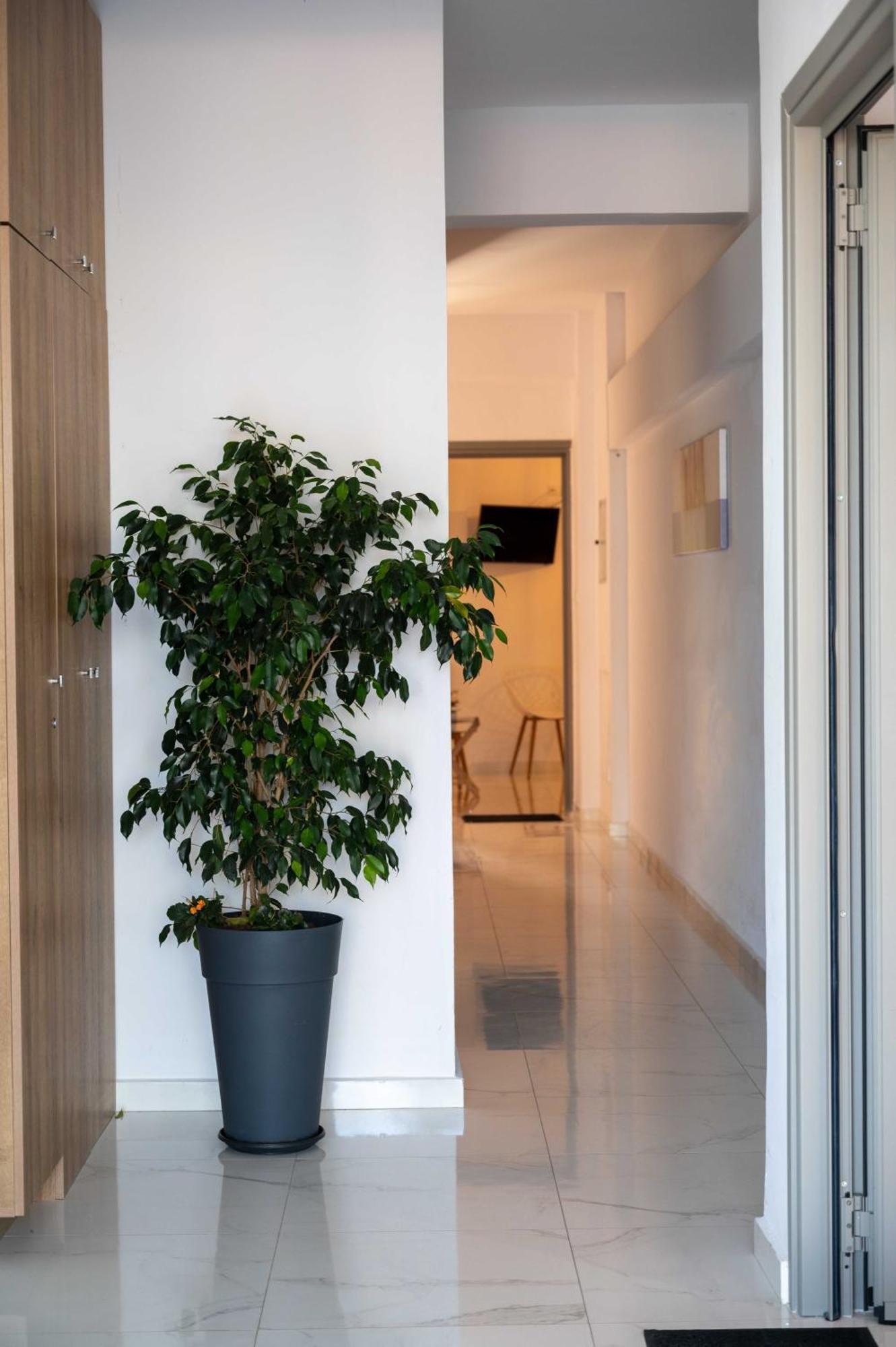 Finikas Suites & Apartments 10Min From Athens Airport Artemida  Eksteriør billede