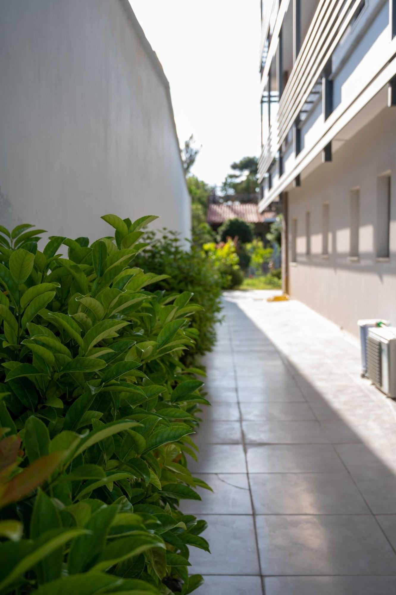 Finikas Suites & Apartments 10Min From Athens Airport Artemida  Eksteriør billede